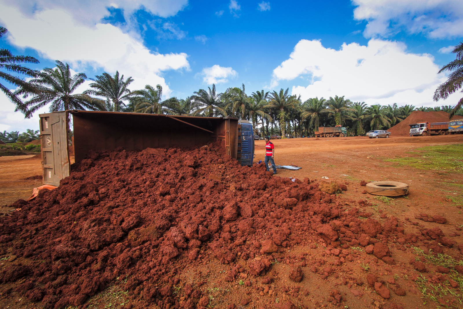 Cover crops can help restore soil quality in areas where bauxite mining has been carried out. – The Malaysian Insider file pic, February 17, 2016.