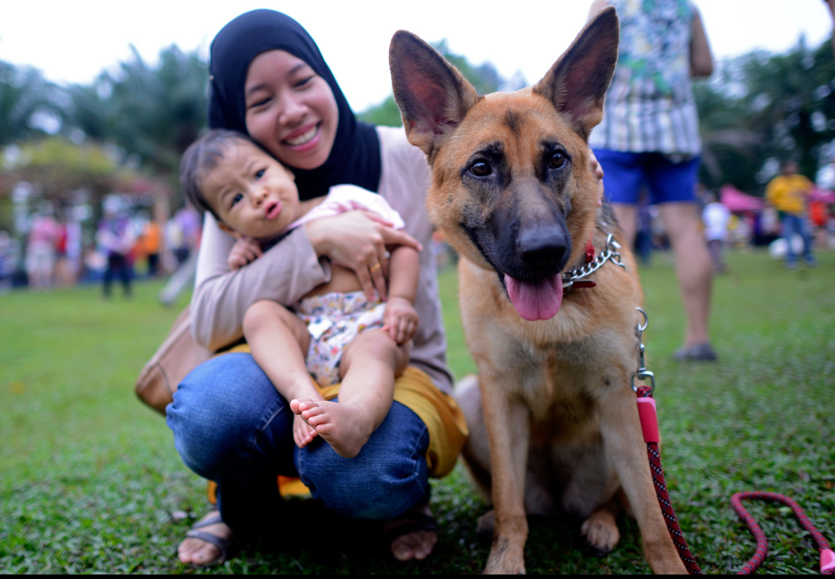 A Muslim mother and her baby girl get close to a dog during the 'I Want To Touch A Dog' event. – The Malaysian Insider pic by Najjua Zulkefli, October 19, 2014.