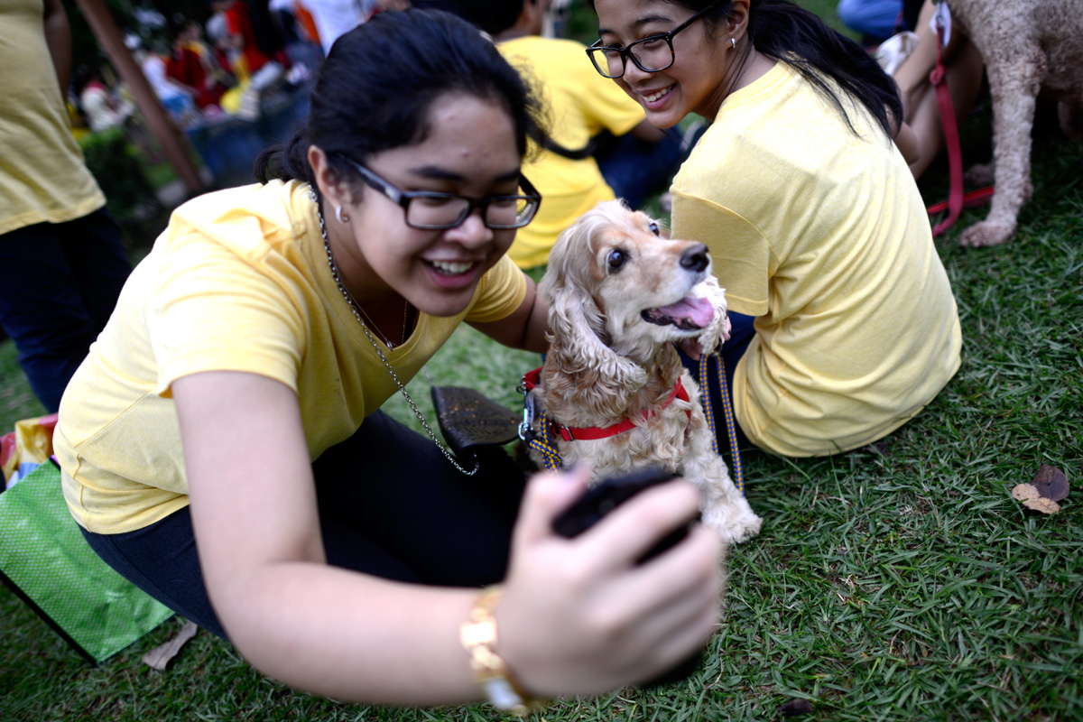 Sunday’s ‘I want to touch a dog’ event was a success with almost 1,000 people turning up but many Malays have taken offence at photos of Muslims petting and holding dogs. – The Malaysian Insider pic by Najjua Zulkefli, October 22, 2014.