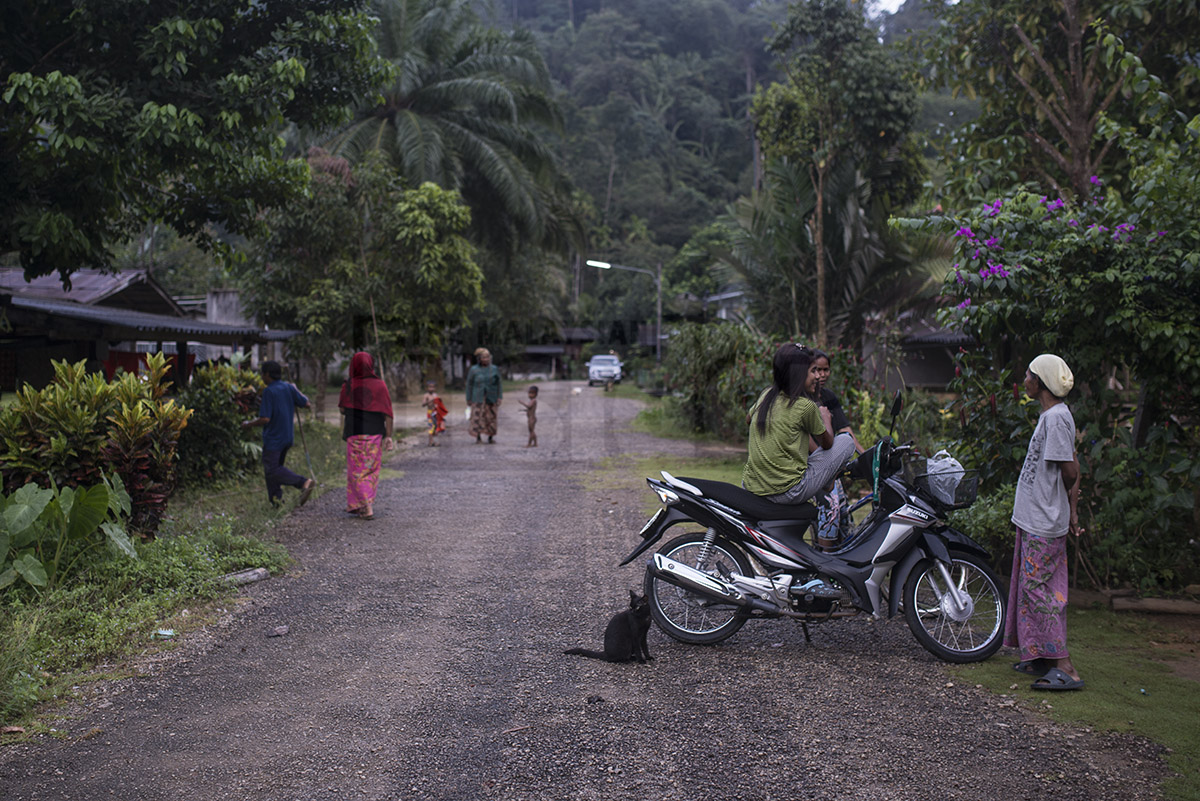 Ban Chulabhorn Pattana 12 Sukhirin, Narathiwat province in Southern Thailand, is home to former Communist Party of Malaya members and their families. – The Malaysian Insider pic by Hasnoor Hussain, December 2, 2014. 