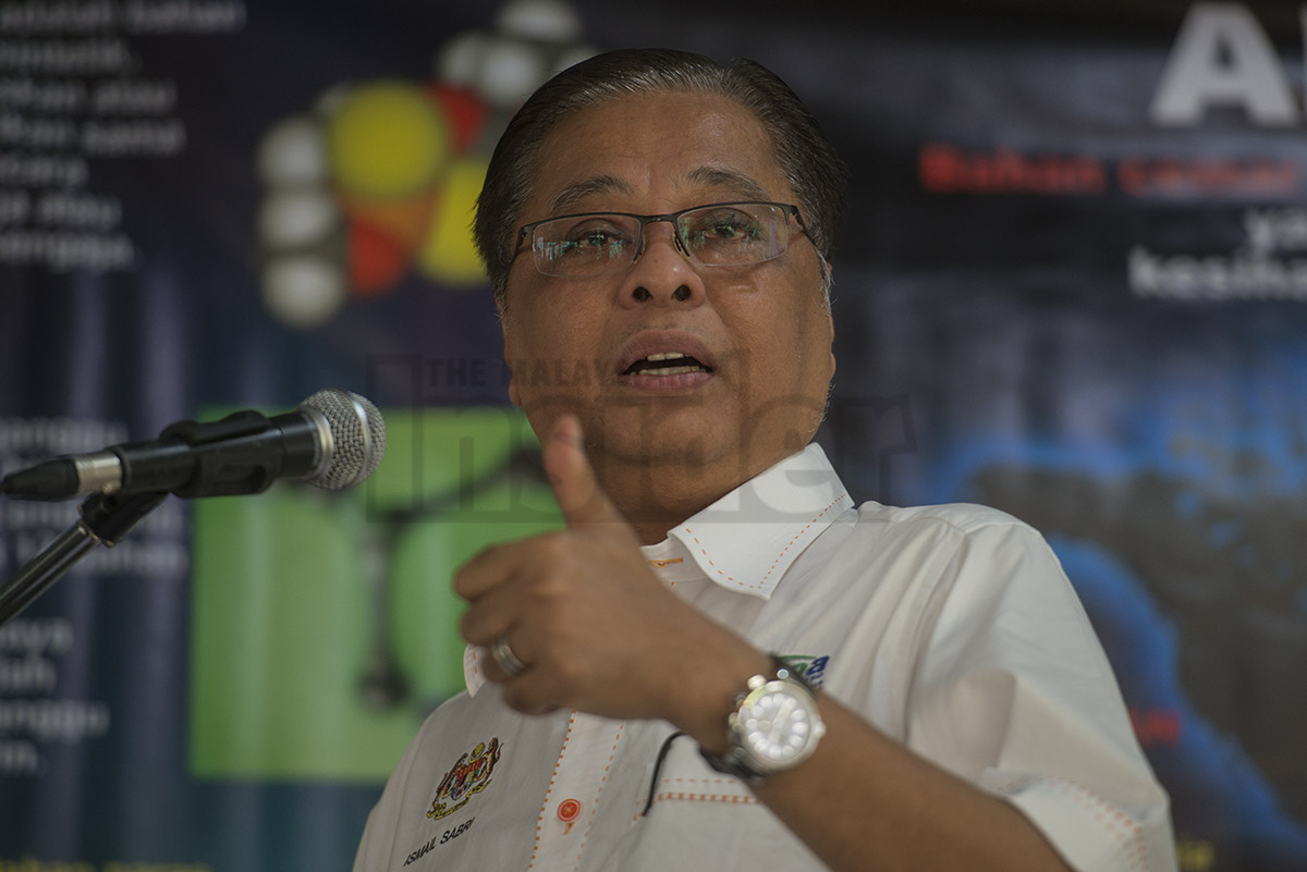 Rural and Regional Development Minister Datuk Seri Ismail Sabri Yaakob is proposing a Malays-only version of Low Yat Plaza. – The Malaysian Insider file pic, August 11, 2015. 