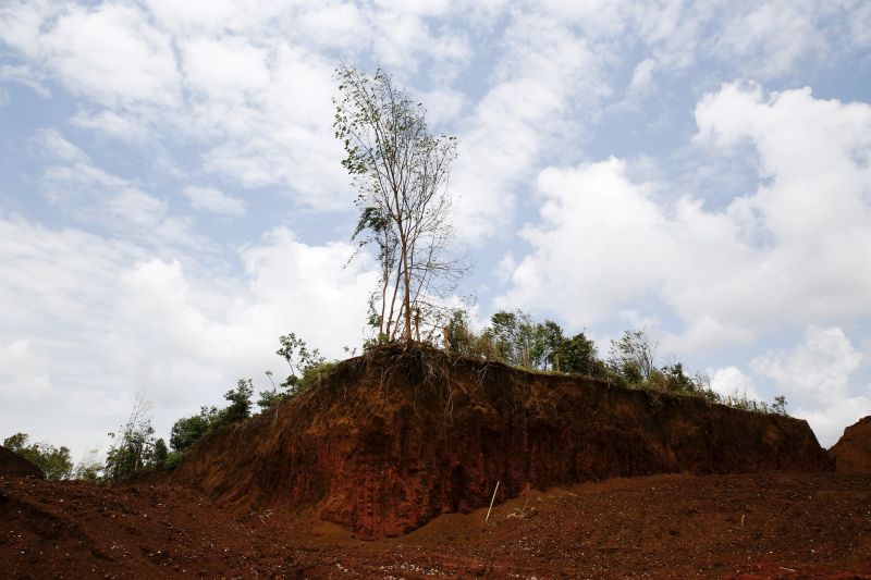 Kebun durian terpaksa menerima kesan pencemaran apabila kawasan sekitarnya sudah menjadi lokasi perlombongan bauksit di Kuantan. – Gambar Reuters, 24 Februari, 2016.