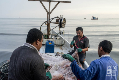 Fishermen checking their catch in a net. – The Malaysian Insider pic by Hasnoor Hussain, April 23, 2015.